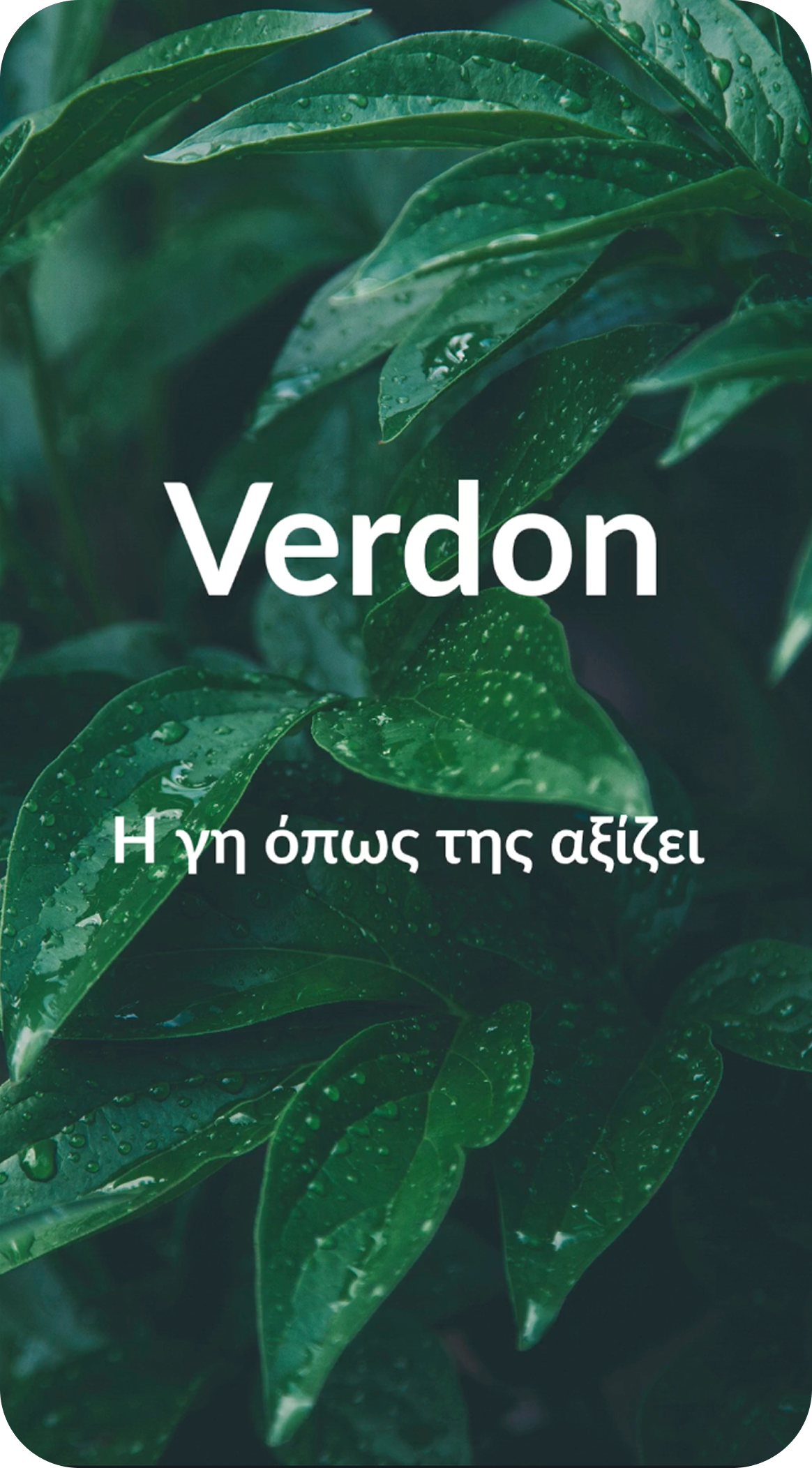 Verdon short-form video cover